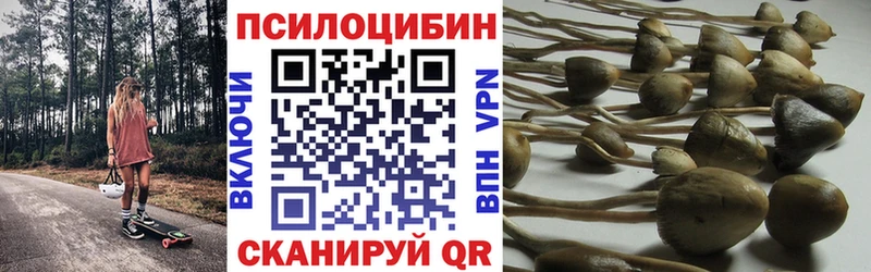 Галлюциногенные грибы GOLDEN TEACHER  Юрьевец 